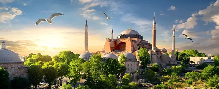 Higher Education System of Netherlands